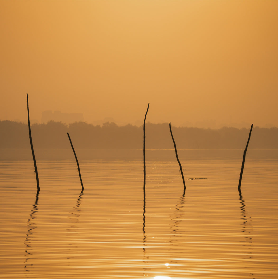 Silhouettes of sticks protruding from water at sunset with an orange sky.